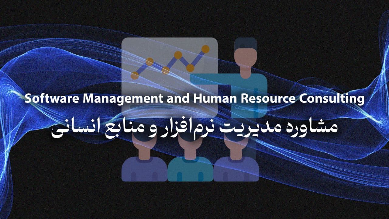 Software Management and Human Resource Consulting